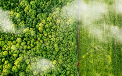 NEJEZ TEN STEAK, ZACHRÁNÍŠ PLANETU ANEB OBČAS PROSTĚ STAČÍ MÁLO