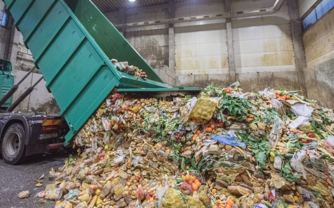 Místo skládky do bioplynky: EFG spolupracuje se Šumperkem na sběru gastroodpadu