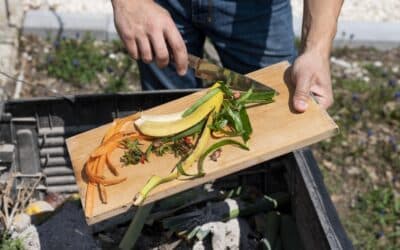 Jakými způsoby nakládáme s bioodpadem? A které jsou nejvíce eko?