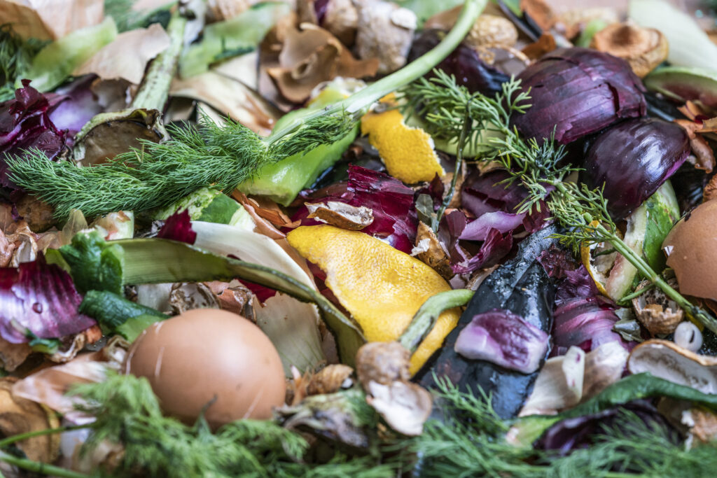 Jakými způsoby nakládáme s bioodpadem? A které jsou nejvíce eko? 1 decomposed garbage composting pile rotting kitchen scraps vegetables organic waste background